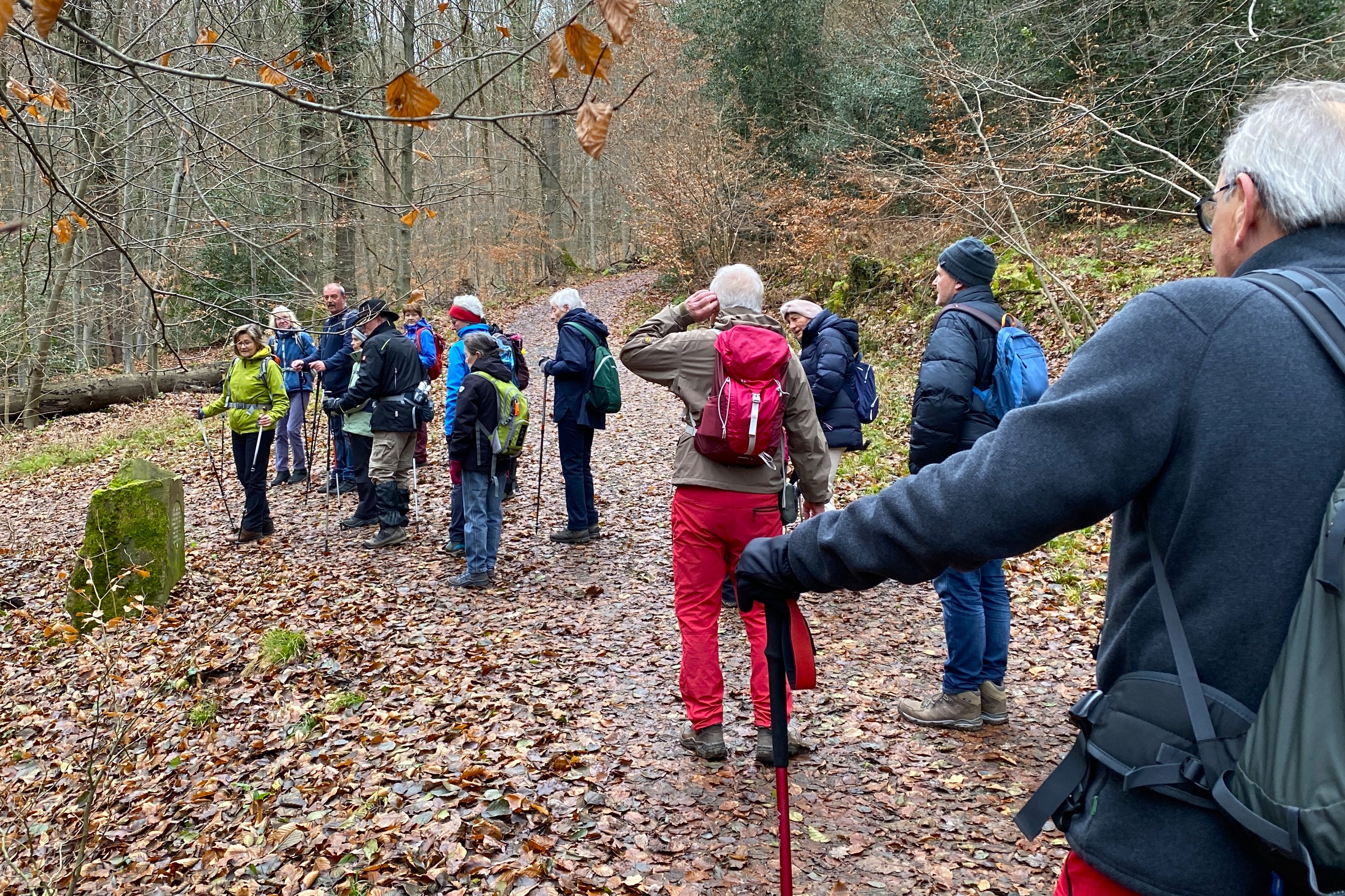 Abzweig am grauen Stein im Siebengeb.