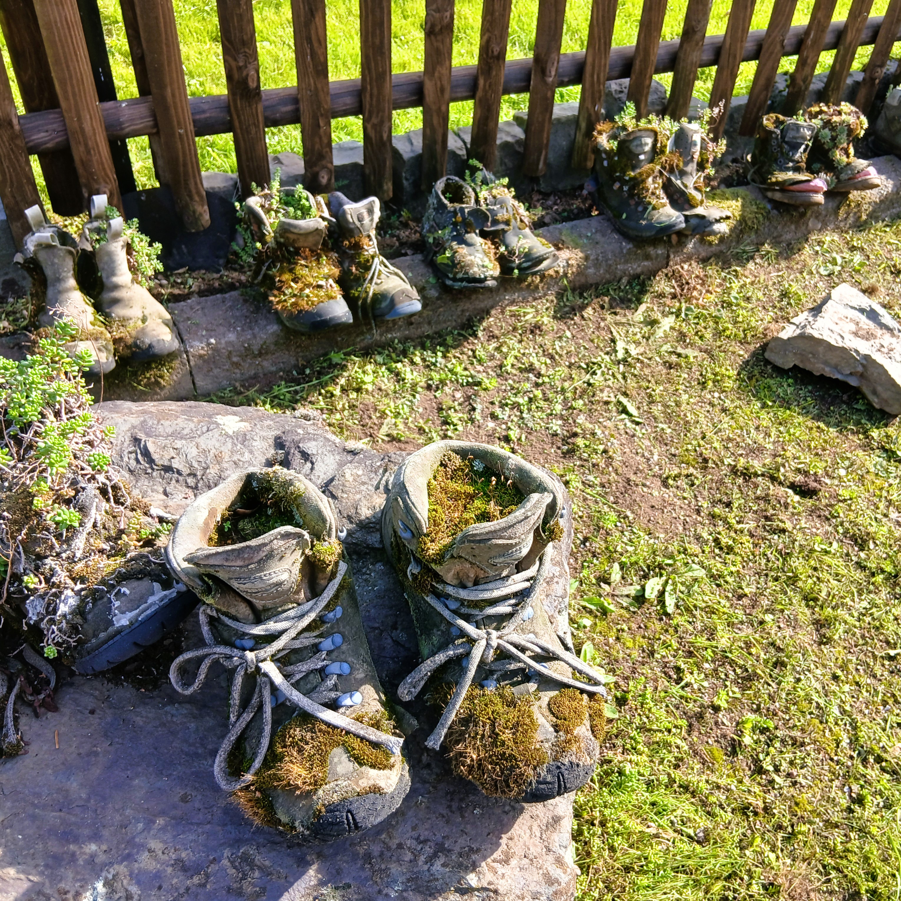 Mooswanderschuhe
